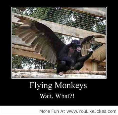 The Best Flying Monkeys Memes Online