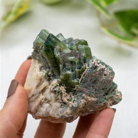 Watermelon Tourmaline #10 - The Crystal Council