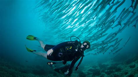 Discover Sipadan Island - Malaysia's best scuba diving | ZuBlu