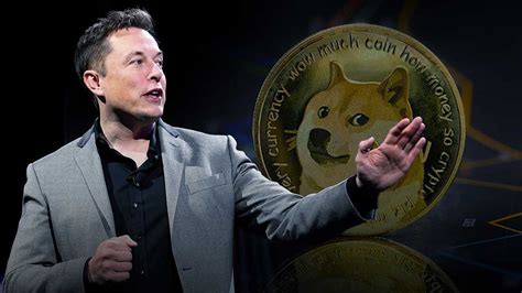 Dogecoin Jumps 8% After Elon Musk Tweets He's Buying The Dip | Bitcoinist.com