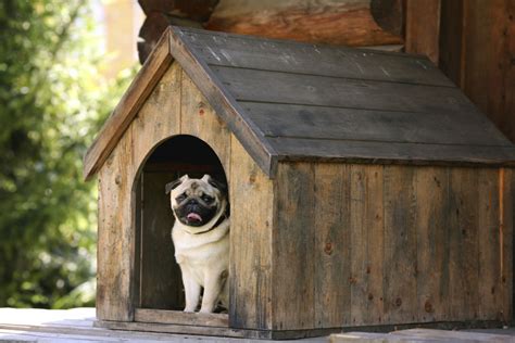 34 Doggone Good Backyard Dog House Ideas