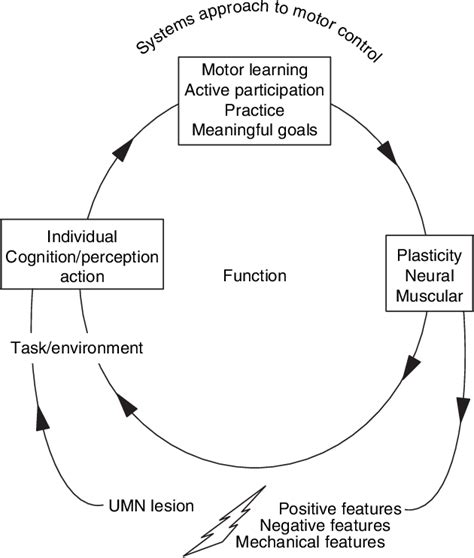 Figure 1.1 from The Bobath Concept: Developments and Current ...