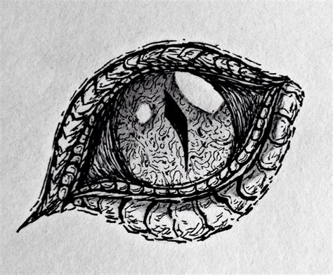 Cool Dragon Eye Drawings In Pencil | Dragon eye drawing, Dragon drawing, Cool drawings tumblr