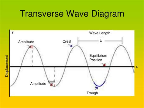 Draw A Transverse Wave