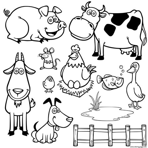 19+ Cute Baby Farm Animals Coloring Pages PNG - sport station futsal
