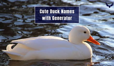 450+ Cute Duck Names with Generator for Feathered Friend