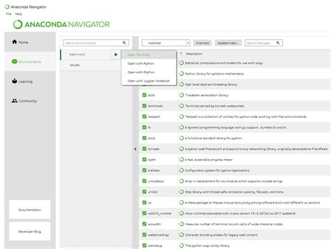 Using Pip to install packages to Anaconda Environment