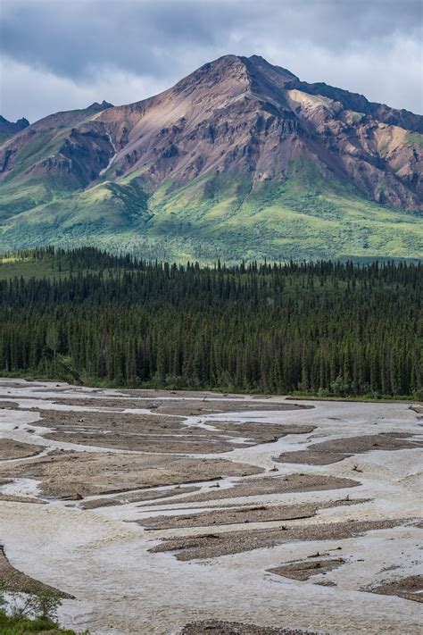 Denali National Park — The Greatest American Road Trip