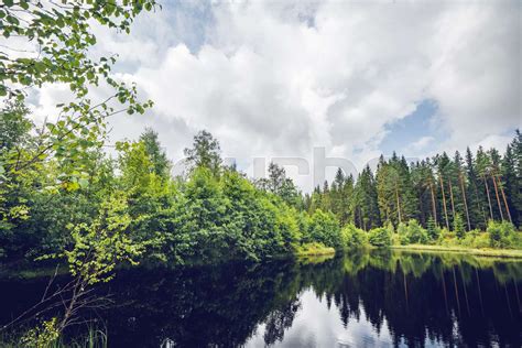 Dark lake in a forest with green trees reflecting | Stock image | Colourbox