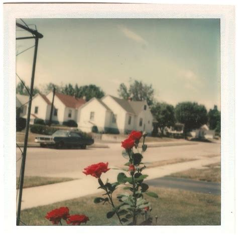 Pin by Enfriday on Vintage | Polaroid photography, Aesthetic ...