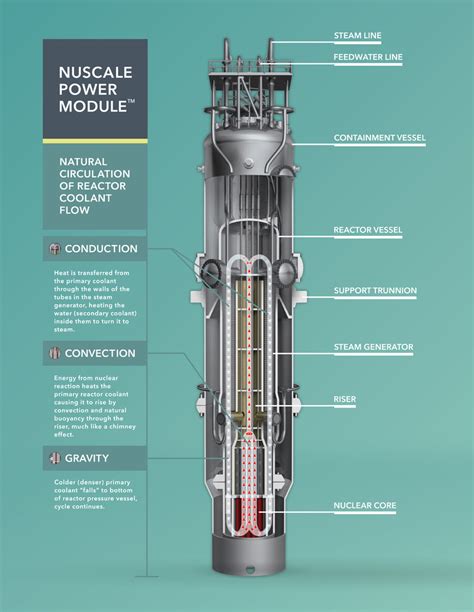 The Future of Nuclear Energy: Small Modular Reactors