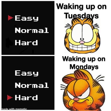 Another Garfield meme : r/garfield