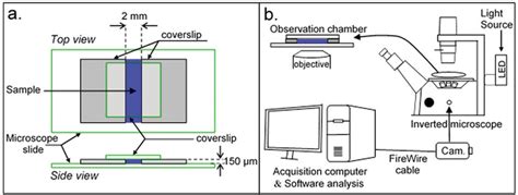 (a) Custom made microscope observation chamber for MPT experiments. The... | Download Scientific ...