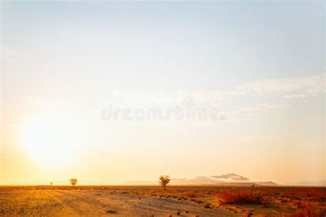 Namib desert landscape stock image. Image of landscape - 158610337