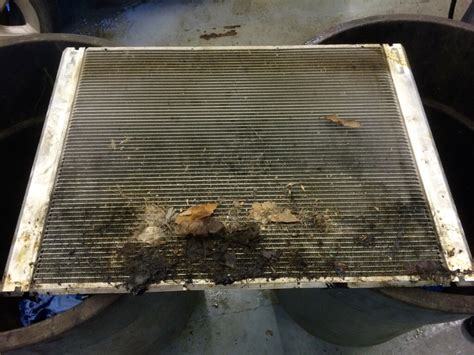 BMW Radiator - Replacement and Prevention - Atlantic Motorcar Center