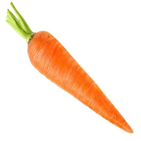 AllThatGrows Orange Carrot/Gaajar Gardening Seeds (Pack of 300 Pieces ...