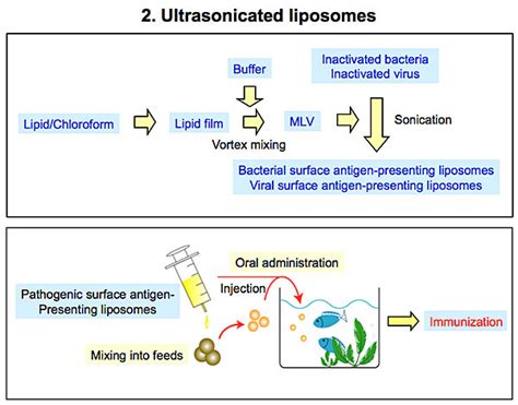 Liposome AutoMaker Application Examples