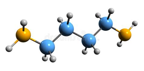 3D Image of Putrescine Skeletal Formula Stock Illustration ...