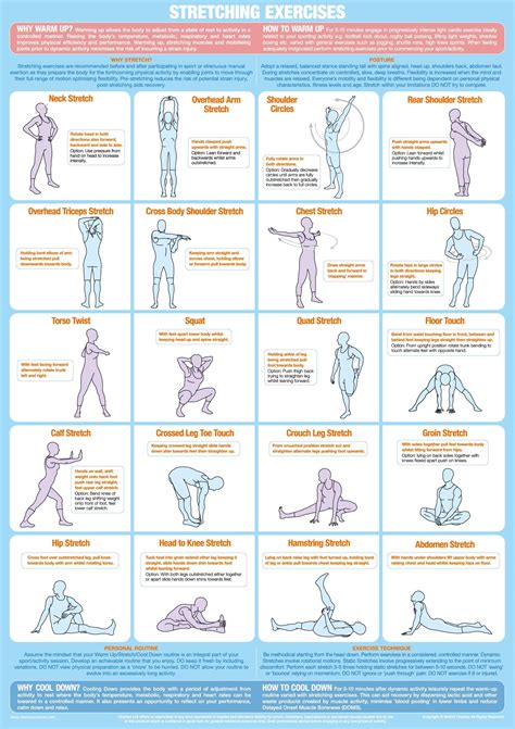 Stretching Warm Up Exercise Poster