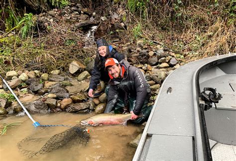 Lewis River Winter Steelhead - Lance Fisher Fishing