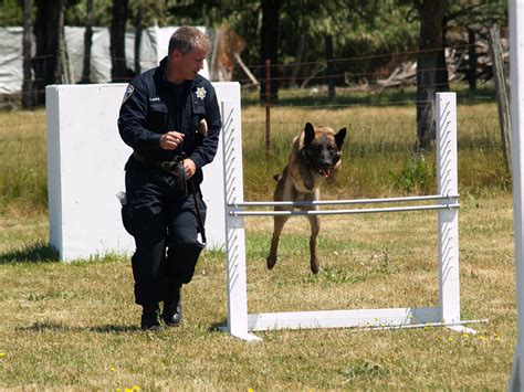 Police K9 Training | Training