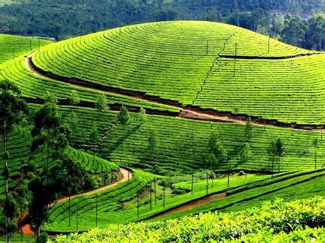 Bangalore Mysore Ooty Tour Packages at Rs 21900/pack in Pinjore | ID ...