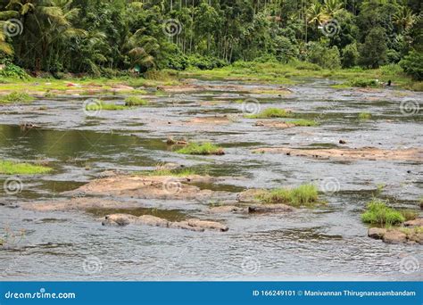 Beautiful View of the Pamba River in Kerala, India Stock Image - Image of trees, beautiful ...