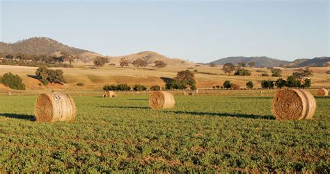 File:Field of hay bales05.jpg - Wikipedia