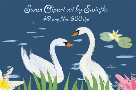 Swan Lake Clipart ~ Illustrations ~ Creative Market