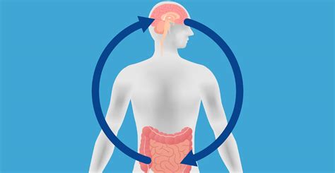 A Multidisciplinary Approach to Disorders of Brain-Gut Interaction ...