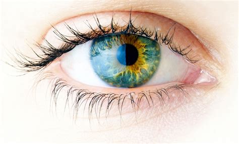 LASIK Eye Surgery - Kurwa Eye Center | Groupon