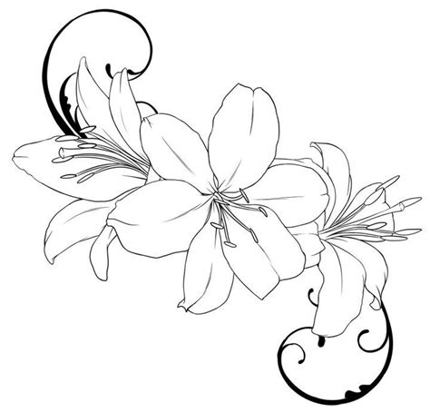 Lily Tattoo Outline Drawings Sketch Coloring Page | Flower drawing ...