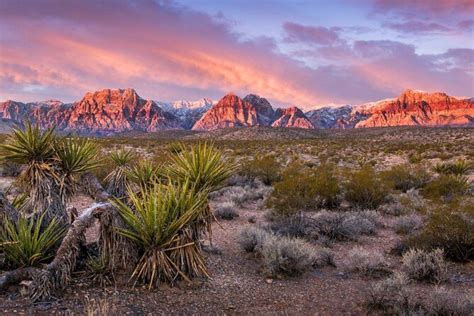 Red Rock Canyon, Las Vegas | Tickets & Tours - 2024