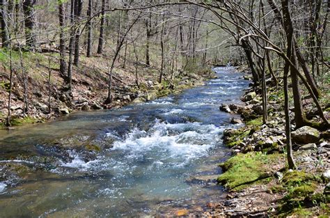 Caney Creek/Buckeye Mountain Trail Loop - Right Kind Of Lost