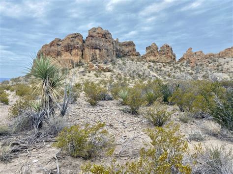 Big Bend Hikes: The Best Trails in the National Park – Bearfoot Theory