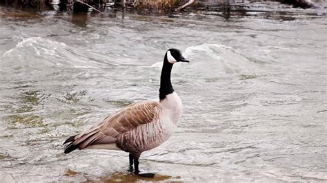 Cold front to bring cooler weather to Boise for Labor Day | Idaho Statesman