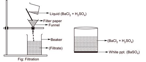 Precipitation reaction between barium chloride and dilute sulphuric ...