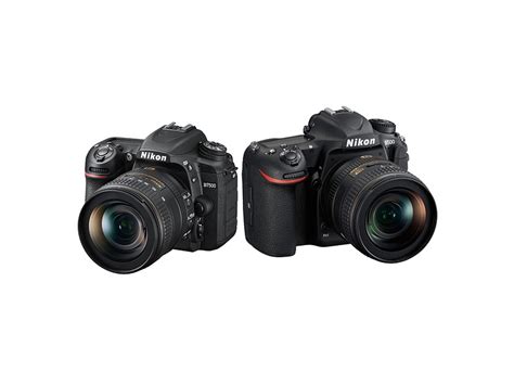 Nikon D7500 vs Nikon D500 : Which is better for you? - GearOpen.com