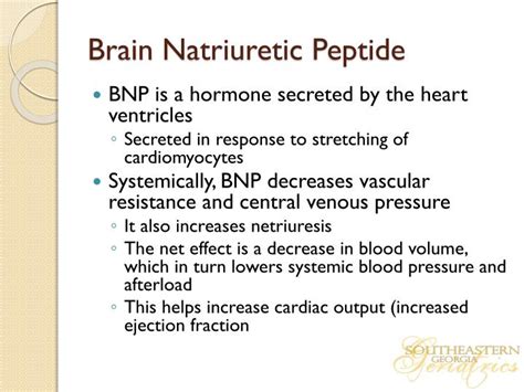 PPT - HYPERTENSIVE CRISIS AND BRAIN NATRIURETIC PEPTIDE PowerPoint Presentation - ID:2240513