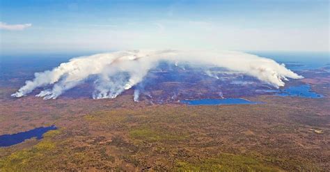 Canada wildfires spark 'ecoterrorist' conspiracy theory