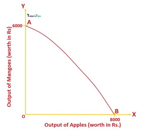 Opportunity Cost - Explanation with Example – Tutor's Tips