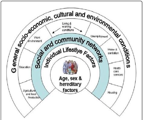 A social model of health (Dahlgren & Whitehead, 1991). | Download Scientific Diagram