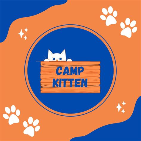 Camp Kitten | Andover MN