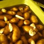 Rustic Garlic Confit Mashed Potato Recipe | weekend recipes