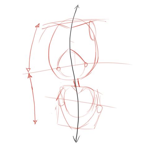 How To Draw The Torso: Front View