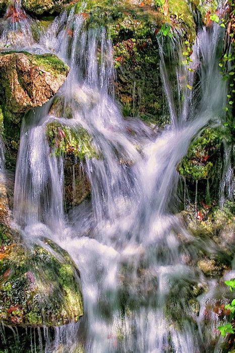 Rainbow springs waterfall by Louis Ferreira | Waterfall, Rainbow ...