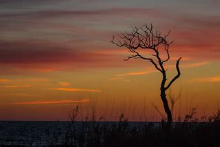 Sunset colors | Susanne Nilsson | Flickr