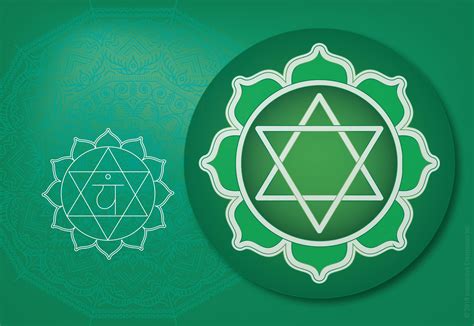 A Guide to the Chakra System: Understanding the Heart Chakra