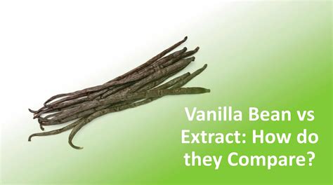 Vanilla Bean vs Extract: How Do They Compare?