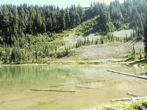 Sunrise Lake Trail - Washington | AllTrails